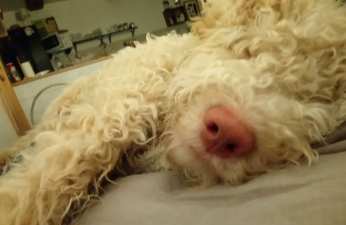 Passy House | Near Cluny, in South Burgundy, newly-renovated holiday home with panoramic view