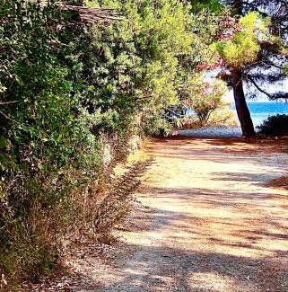 Episkopos Apartment | Nerea Apartment