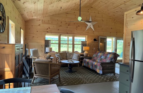 Town of Jerusalem Cottage | New 2024 Firefly Cottage in the heart of the FingerLakes. Amazing Vineyard views