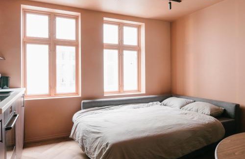 Bergen City Centre Apartment | New Apartment in Historical street