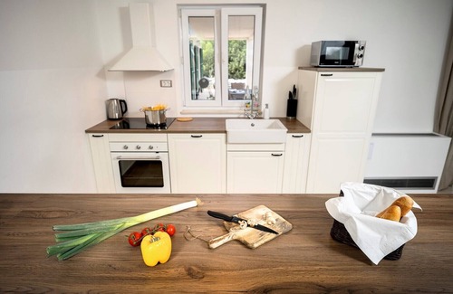 Stari Grad Villa | New holiday villa Milla with private pool and spacious garden