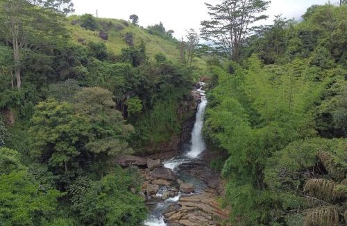 Udunuwara House | New Toropi Homestay