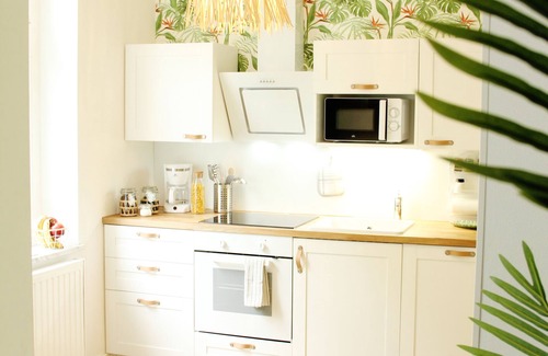 Hochfeld Apartment | *New* tropical SECRET HIDEAWAY central+Alexa+WLAN+Netflix