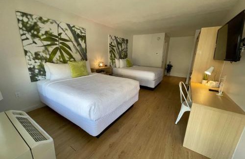 Kissimmee Hotel | Newly renovated room in cozy hotel near Disney 2
