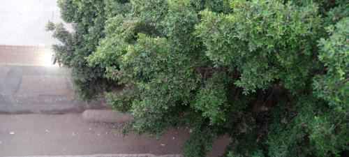 Kafrat al Jabal Apartment | next to the Giza Pyramids