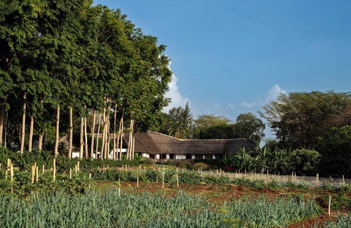 Karatu Cabin | Ngorongoro Farm House