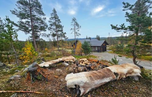 Atra House | Nice Home In Tinn Austbygd With Sauna