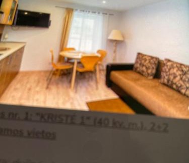 Nida Apartment | Nida rent