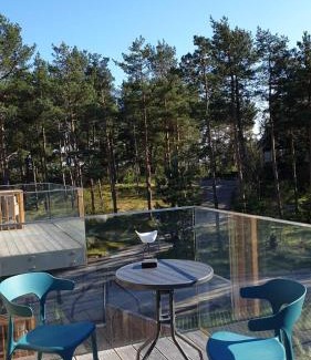 Nida Apartment | "Nidos vėtrungės" atostogų namai