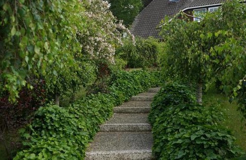 Behringen Hotel | Niedersachsen Hof