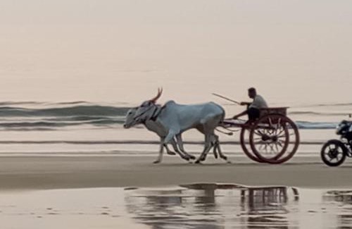 Murud Hotel | Nikhil's Inn