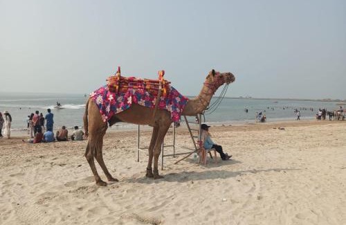 Murud Hotel | Nikhil's Inn