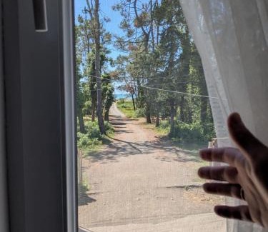 Guria Apartment | Nino apartments