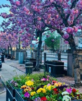 Marybank Apartment | No.3 On The Square