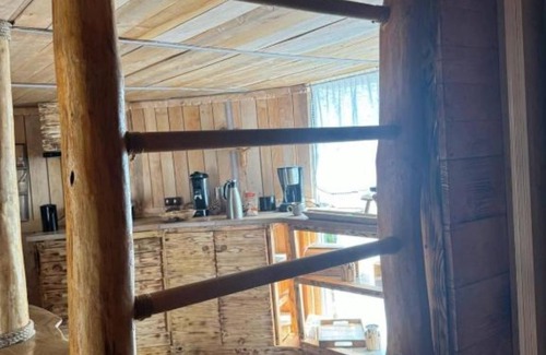 Kutno Apartment | NOCLEG W KORONACH DRZEW