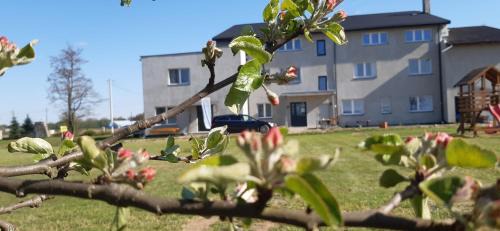 Goniadz Bed & Breakfast | Noclegi nad Biebrzą Stara Szkoła