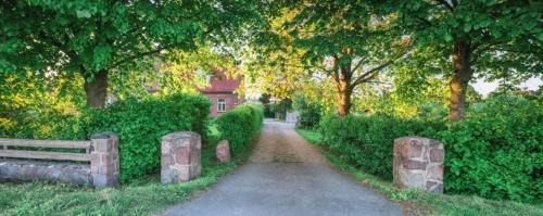Norby Apartment | Norby Garden PLUS