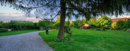 Norby Apartment | Norby Garden PLUS