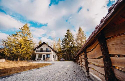 Horodnic de Jos House | NorthSpot Cabin