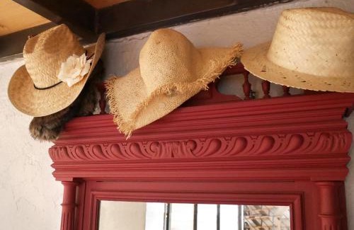 Griffon - Royale Bed & Breakfast | Nos chambres en ville B&B