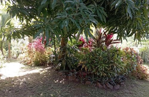 Le Marin House | Noukatchimbe Bungalow avec piscine partagée pour 2 à 4 personnes