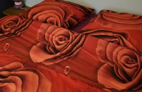 Anhee Bed & Breakfast | Nouvelles chambres très confortables avec réfrigérateur