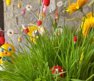 Vanadzor Bed & Breakfast | NOY Guest House B&B