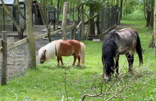 Castiglione di Cervia House | Nuovo Agriturismo Angelini