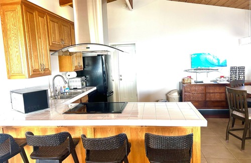Leucadia House | Oceanfront Dolphin Views at the Edge of the USA. 2-Bed 1-Bath Pet-Friendly.