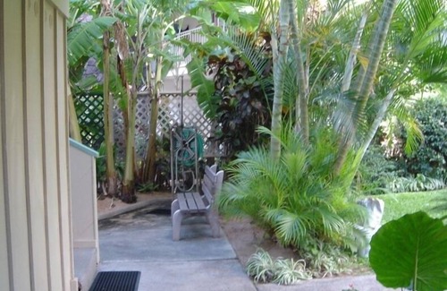 Napili Condo | Oct-Jan Discounted rates! Spectacular Oceanfront Studio Condo on Napili Bay,Maui