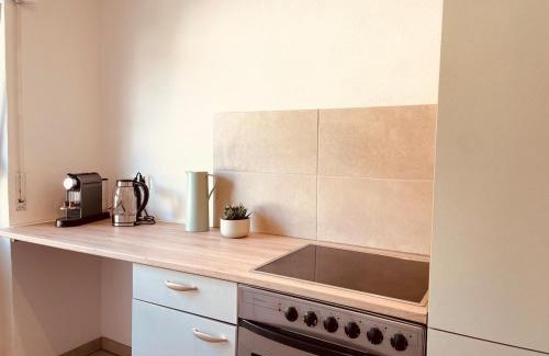 Weinheim Apartment | Odw homes - Large apartment with four bedrooms