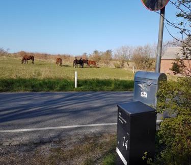Dunkær House | Oestermark