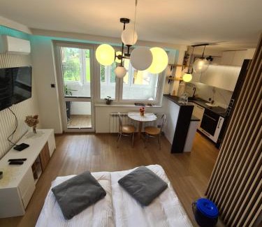 Regietow Apartment | OffWysowa