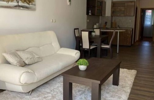 Shiligarnika Apartment | Oldinn Large Flat with Terrace just minutes from the Slopes and the City.