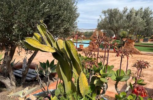 Los Albaricoques Apartment | Olivares Rural