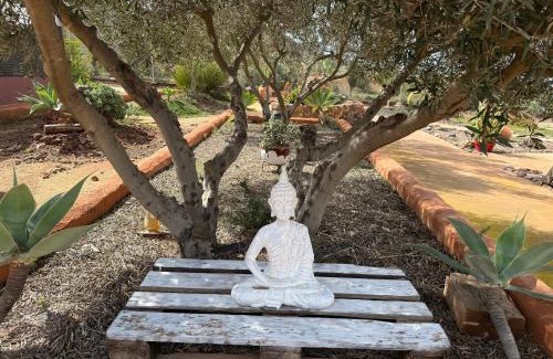 Los Albaricoques Apartment | Olivares Rural