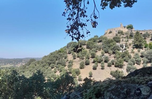 Portalegre House | Olive -Casa da Boavista