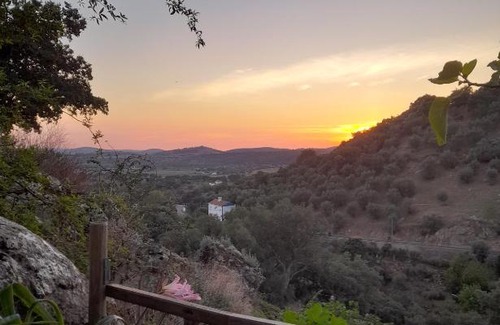 Portalegre House | Olive -Casa da Boavista