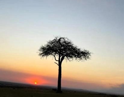 Maasai Mara Cabin | Oloiba Nkuti Lodge