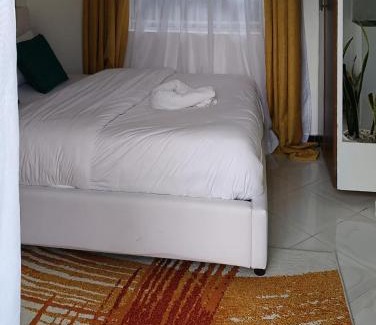 Viwanda Apartment | Olosotua homes