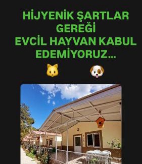 Olympos Apartment | OLYMPOS YÖRÜK OTAĞI APART EVLERİ