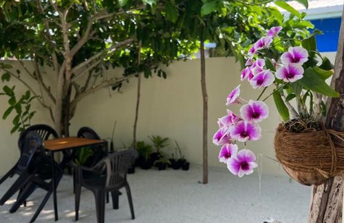 Omadhoo House | Omadhoo Coral View Inn