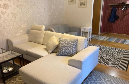 Ylamylly Apartment | Omakotitalo keskustan lähellä