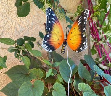 Borsh House | Ona's House