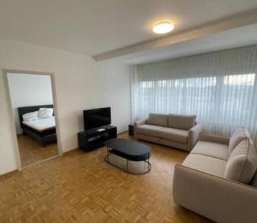 Le Grand-Saconnex Apartment | ONU - PALEXPO-AEROPORT Genève