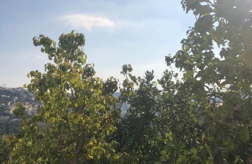 Ajloun Governorate House | ORJAN VIEW