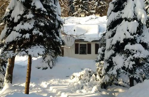 Cerny Dul Cabin | Orlí Hnízdo
