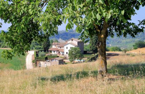 Corbara Apartment | Orvieto Country House
