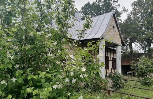 gmina Reczno Villa | Ostoja Będzyn- Wypoczynek nad Pilicą