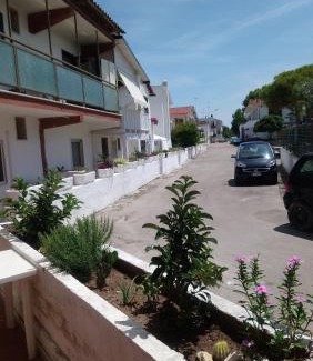 Frigole Apartment | Oxy House